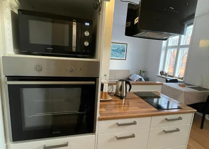 Lägenhet Cozy Base Near The Cathedral Viborg